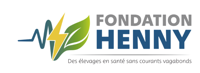 Fondation Henny